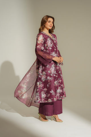 3 Piece Net Print Embroidered Suit (FS0140)
