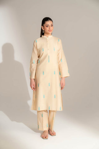 2 Piece Cotton Silk Solid Suit (FS0144)