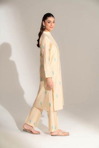 2 Piece Cotton Silk Solid Suit (FS0144)