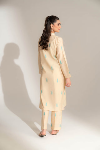 2 Piece Cotton Silk Solid Suit (FS0144)