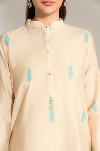 2 Piece Cotton Silk Solid Suit (FS0144)