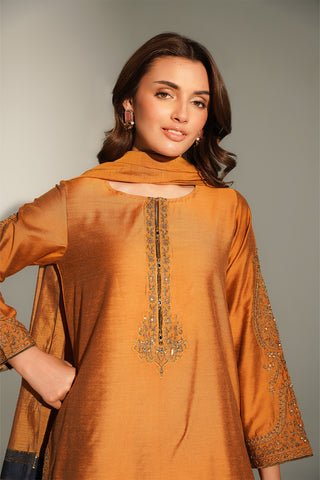 3 Piece Cotton Silk Embroidered Suit (FS0147)