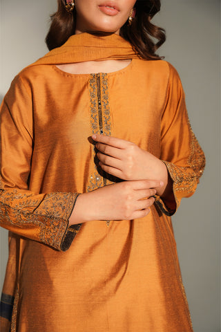 3 Piece Cotton Silk Embroidered Suit (FS0147)