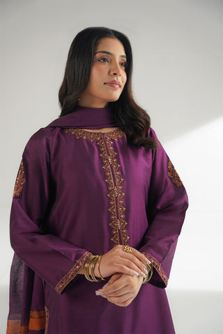 3 Piece Cotton Silk Embroidered Suit (FS0174)