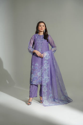 3 Piece Net Printed Embroidered Suit (FS0176)
