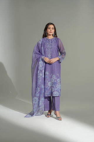 3 Piece Net Printed Embroidered Suit (FS0176)