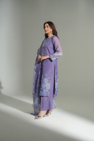 3 Piece Net Printed Embroidered Suit (FS0176)