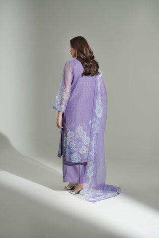 3 Piece Net Printed Embroidered Suit (FS0176)