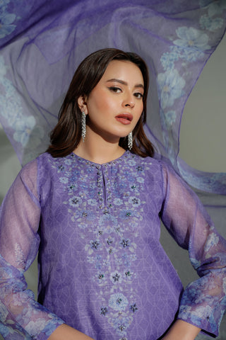 3 Piece Net Printed Embroidered Suit (FS0176)
