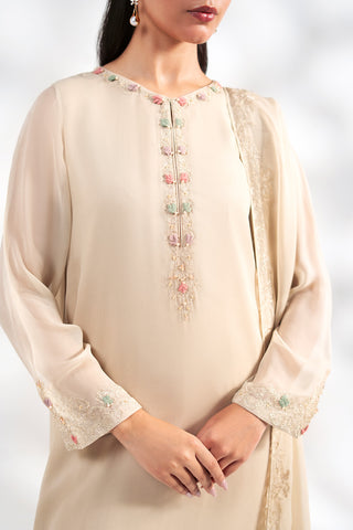 2 Piece Chiffon Embroidered Suit (FS0212)