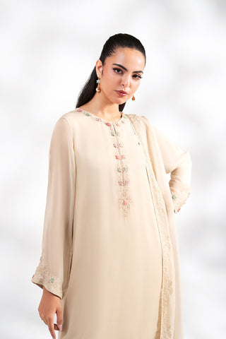 2 Piece Chiffon Embroidered Suit (FS0212)