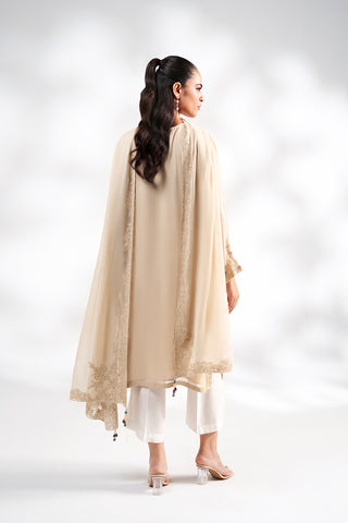 2 Piece Chiffon Embroidered Suit (FS0212)