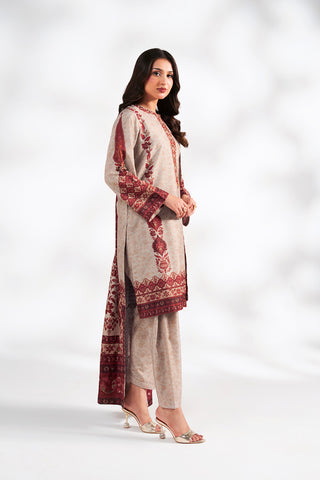 3 Piece Printed Raw Silk Embroidered Suit (FS0215)