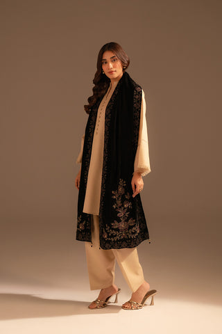 1 Piece Velvet Embroidered Suit (FT0002)