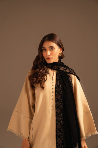 1 Piece Velvet Embroidered Suit (FT0002)