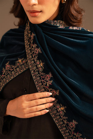 1 Piece Velvet Embroidered Suit (FT0004)