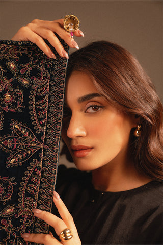 1 Piece Velvet Embroidered Suit (FT0004)