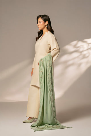 1 Piece Velvet Embroidered Suit (FT0007)