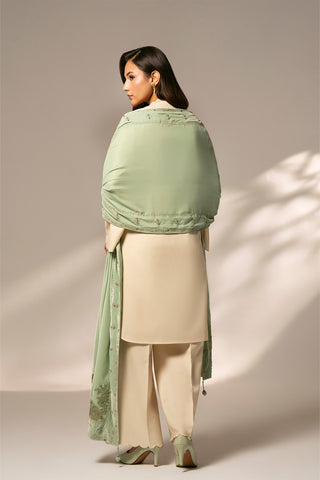 1 Piece Velvet Embroidered Suit (FT0007)