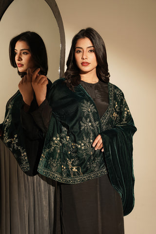 1 Piece Velvet Embroidered Suit (FT0009)