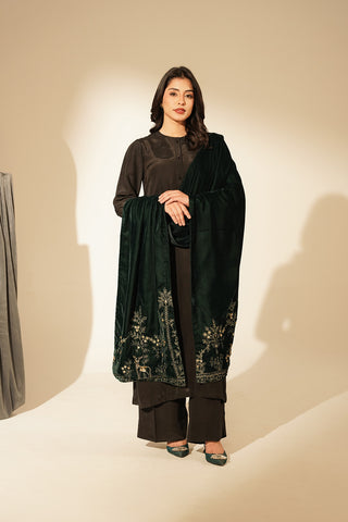 1 Piece Velvet Embroidered Suit (FT0009)