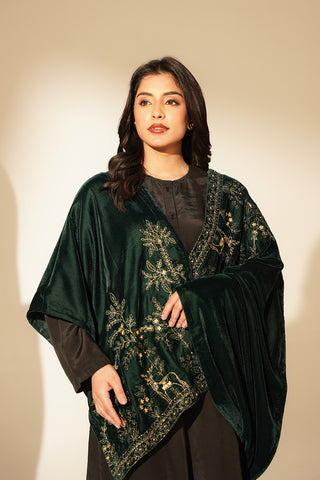 1 Piece Velvet Embroidered Suit (FT0009)