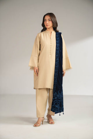 1 Piece Velvet Embroidered Stole (FT0010)