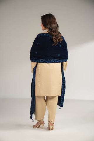 1 Piece Velvet Embroidered Stole (FT0010)