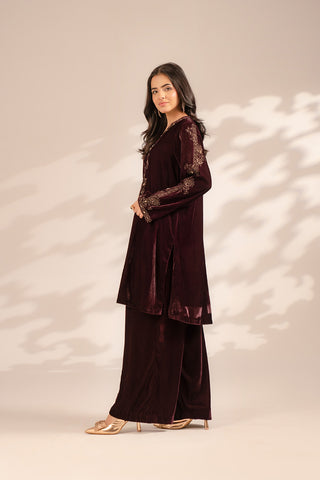 2 Piece Velvet Embroidered Suit (FV0006)
