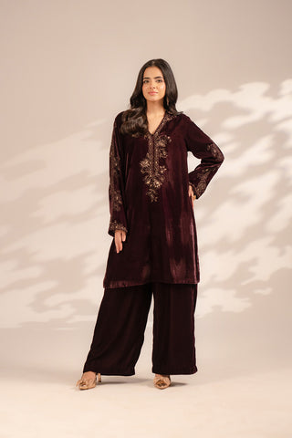 2 Piece Velvet Embroidered Suit (FV0006)