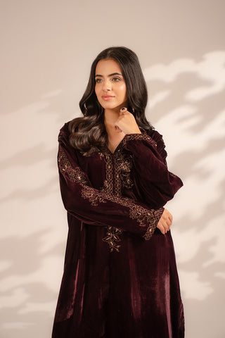 2 Piece Velvet Embroidered Suit (FV0006)