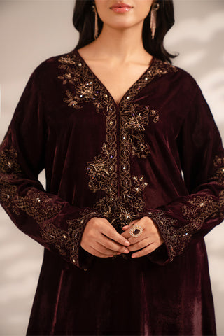 2 Piece Velvet Embroidered Suit (FV0006)