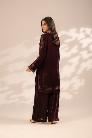 2 Piece Velvet Embroidered Suit (FV0006)