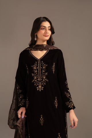 3 Piece Velvet Embroidered Suit (FV0008)