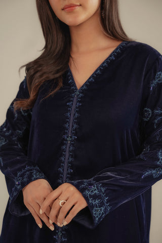 2 Piece Velvet Embroidered Suit (FV0009)