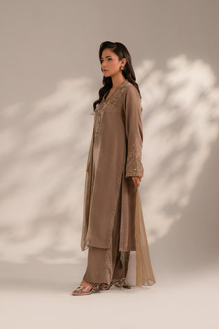 3 Piece Velvet Embroidered (FV0016)