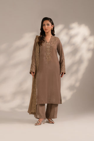 3 Piece Velvet Embroidered (FV0016)