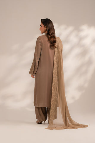 3 Piece Velvet Embroidered (FV0016)