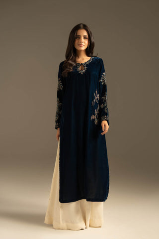 1 Piece Velvet Embroidered Suit (FV0018)