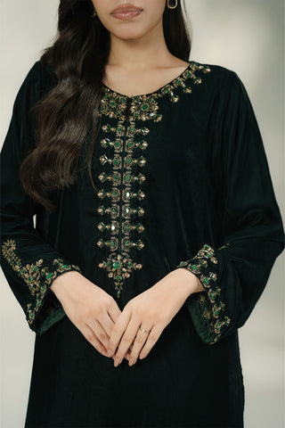 2 Piece Velvet Embroidered Suit (FV0020)