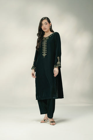 2 Piece Velvet Embroidered Suit (FV0020)