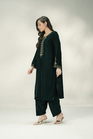 2 Piece Velvet Embroidered Suit (FV0020)