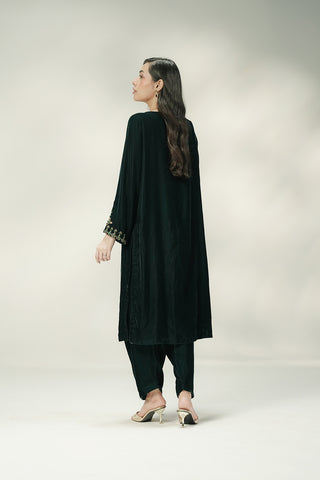2 Piece Velvet Embroidered Suit (FV0020)