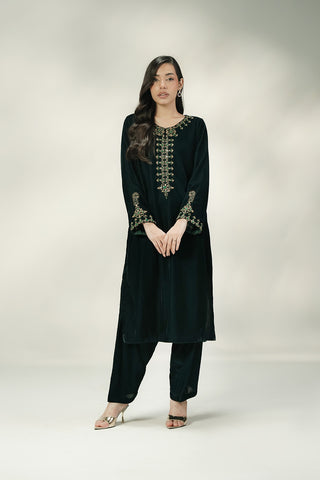 2 Piece Velvet Embroidered Suit (FV0020)