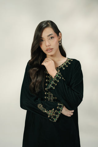 2 Piece Velvet Embroidered Suit (FV0020)