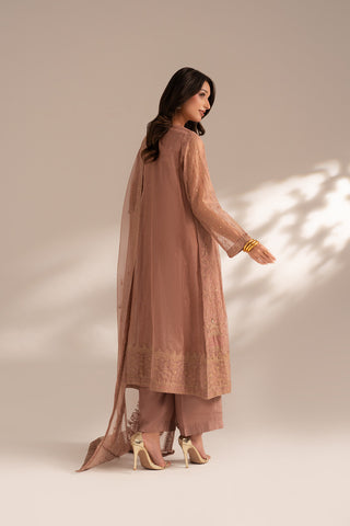 3 Piece Emboss Net Embroidered (FW0015)