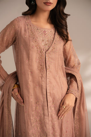 3 Piece Emboss Net Embroidered (FW0015)