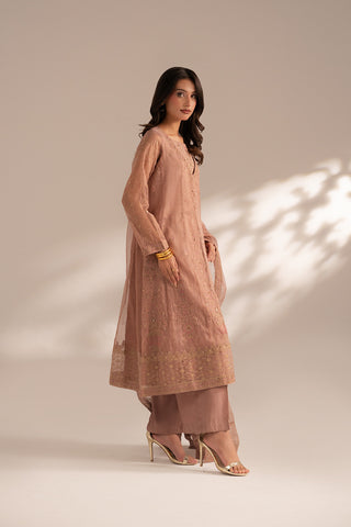 3 Piece Emboss Net Embroidered (FW0015)