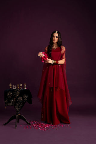 3 Piece Organza Embroidered (FW0016)