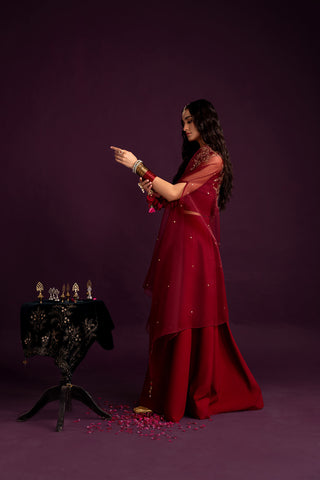 3 Piece Organza Embroidered (FW0016)